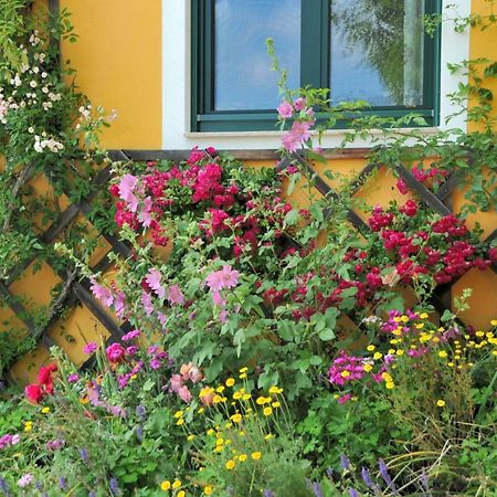 סנט קתרין אם אופנג Sulamith Ferienhaus Mit Garten מראה חיצוני תמונה