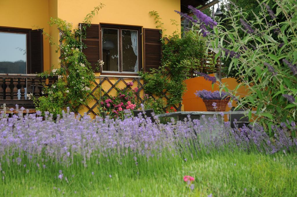 סנט קתרין אם אופנג Sulamith Ferienhaus Mit Garten מראה חיצוני תמונה