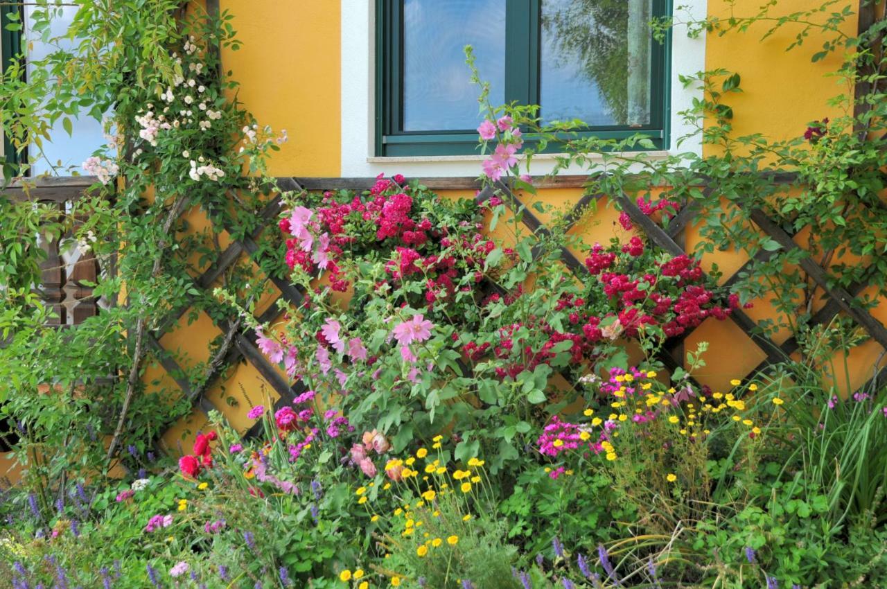סנט קתרין אם אופנג Sulamith Ferienhaus Mit Garten מראה חיצוני תמונה