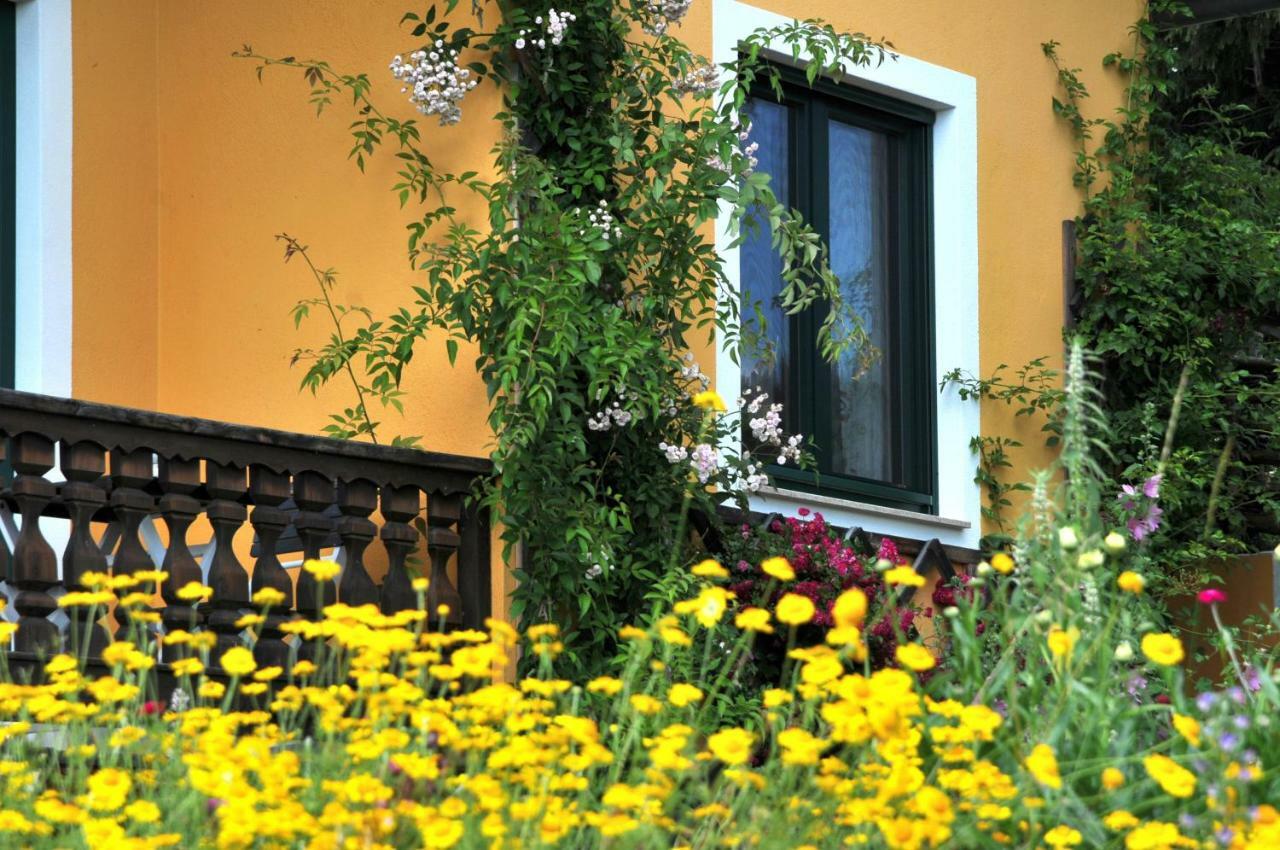 סנט קתרין אם אופנג Sulamith Ferienhaus Mit Garten מראה חיצוני תמונה